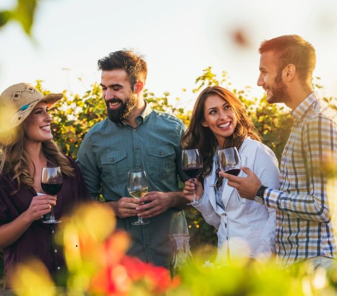 empresa de marketing para enoturismo
